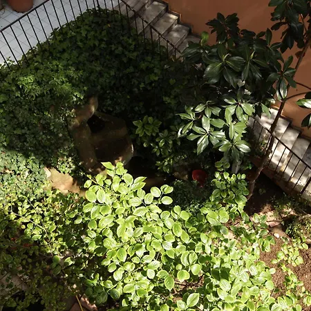 Yesim Suites איסטמבול