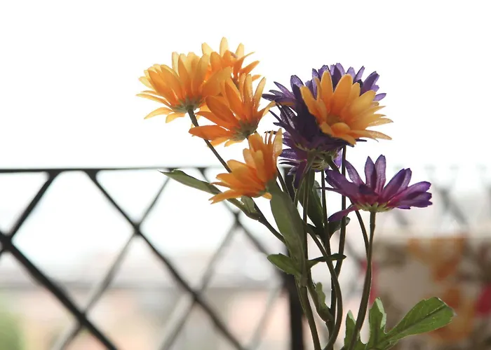 Bed & Breakfast Yesim Suites Provincia di Istanbul