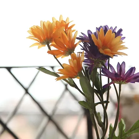 Bed and breakfast Yesim Suites Estambul