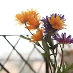 Bed & Breakfast Yesim Suites Provincia di Istanbul